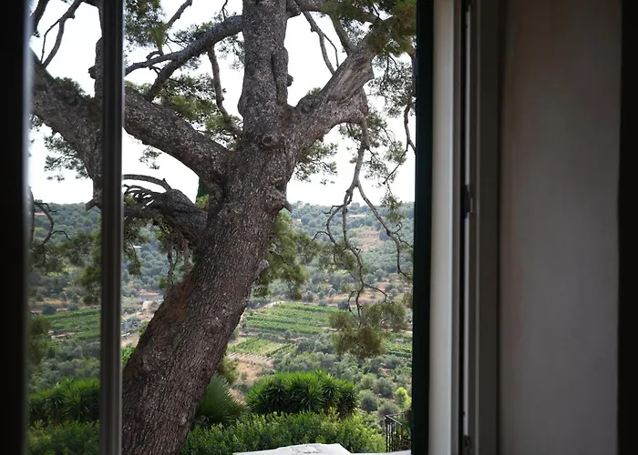 Agriturismo Uliveto Saglietto Imperia